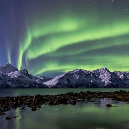 Lyngenfjord,Odins Hus Apartment Olderdalen Bagian luar foto