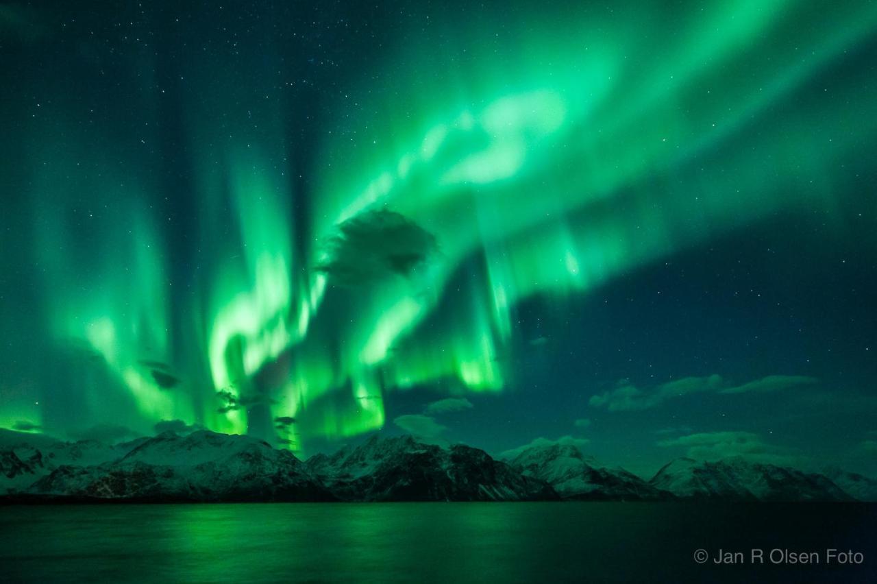 Lyngenfjord,Odins Hus Apartment Olderdalen Bagian luar foto