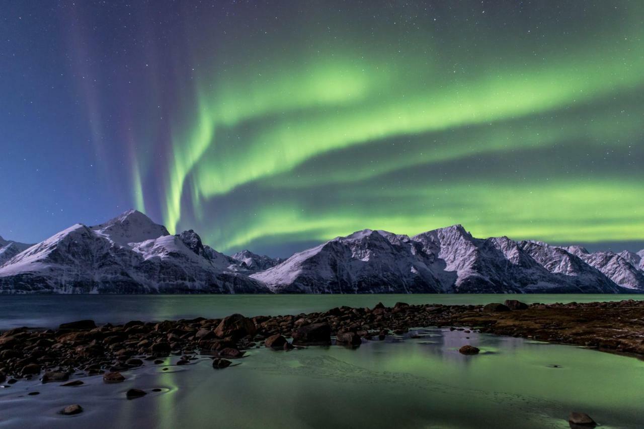 Lyngenfjord,Odins Hus Apartment Olderdalen Bagian luar foto