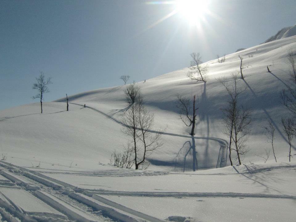Lyngenfjord,Odins Hus Apartment Olderdalen Bagian luar foto