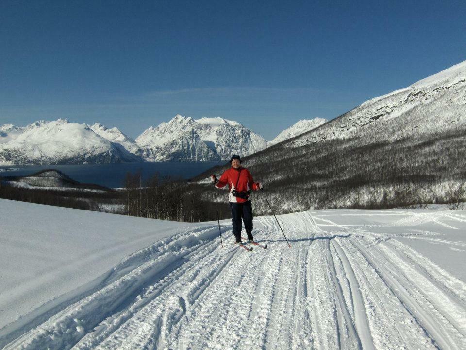 Lyngenfjord,Odins Hus Apartment Olderdalen Bagian luar foto
